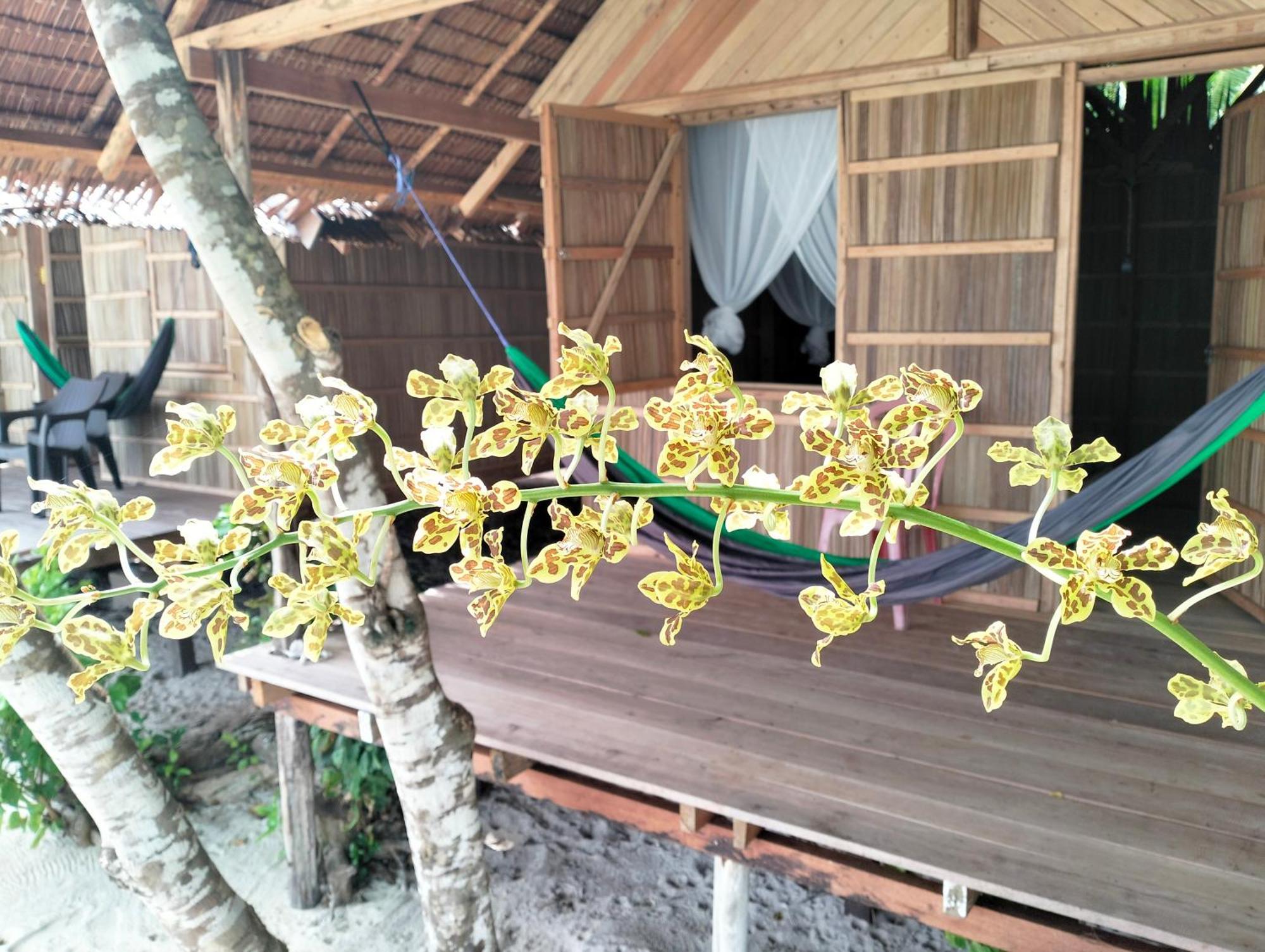 Mambetron Homestay Raja Ampat Pulau Mansuar Esterno foto